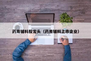 药用辅料股龙头（药用辅料上市企业）