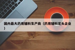 国内最大药用辅料生产商（药用辅料龙头企业）