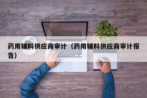 药用辅料供应商审计（药用辅料供应商审计报告）