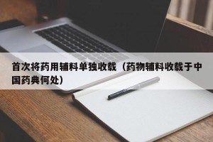 首次将药用辅料单独收载（药物辅料收载于中国药典何处）