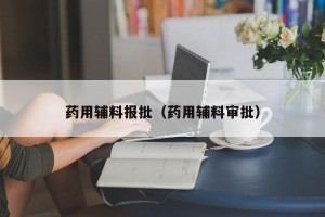 药用辅料报批（药用辅料审批）