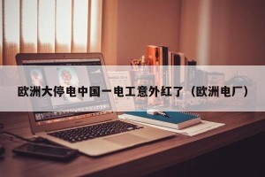 欧洲大停电中国一电工意外红了（欧洲电厂）