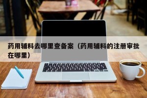 药用辅料去哪里查备案（药用辅料的注册审批在哪里）