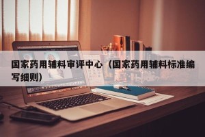 国家药用辅料审评中心（国家药用辅料标准编写细则）