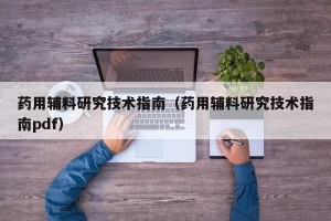 药用辅料研究技术指南（药用辅料研究技术指南pdf）