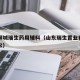 山东聊城瑞生药用辅料（山东瑞生置业有限公司诉讼）