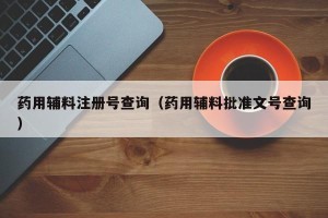 药用辅料注册号查询（药用辅料批准文号查询）