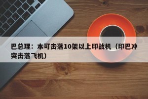 巴总理：本可击落10架以上印战机（印巴冲突击落飞机）